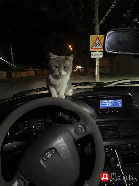 LADA (ВАЗ) 2114, 2004 года