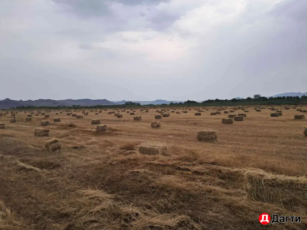 сено разнотравья прошлогодний