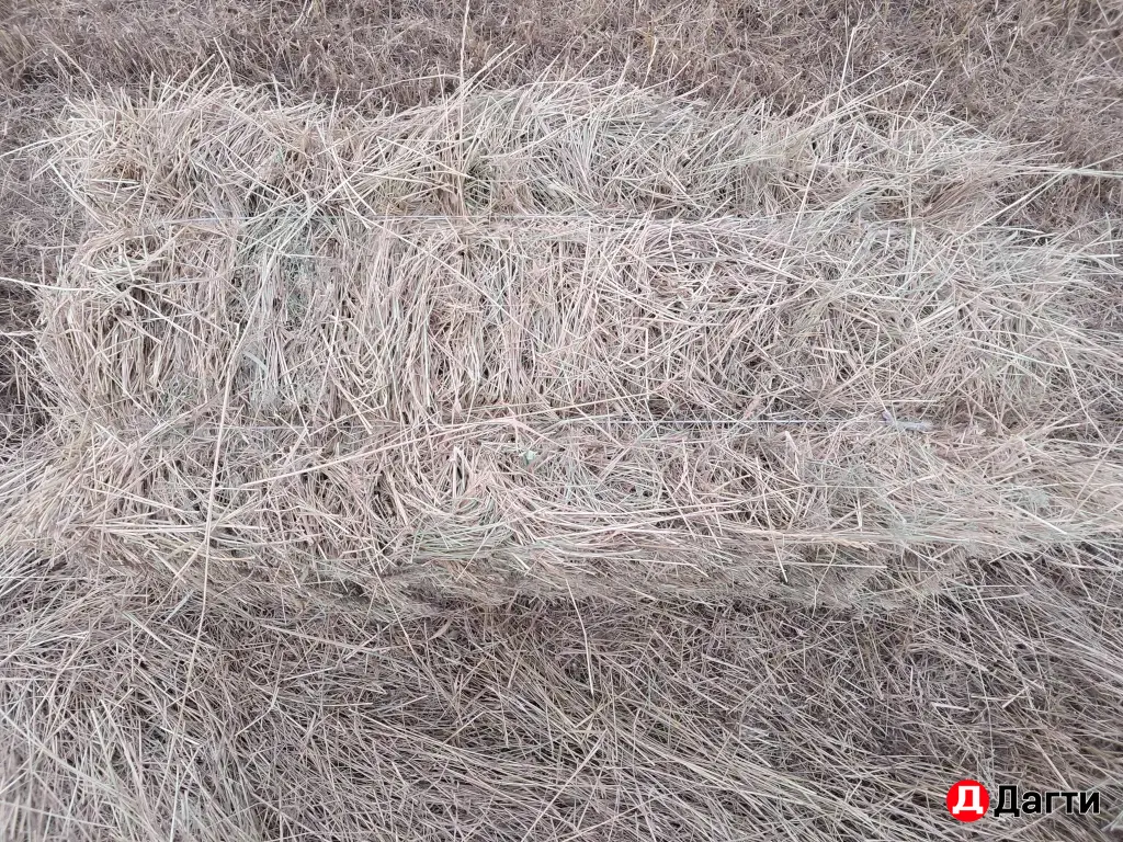 сено разнотравья прошлогодний