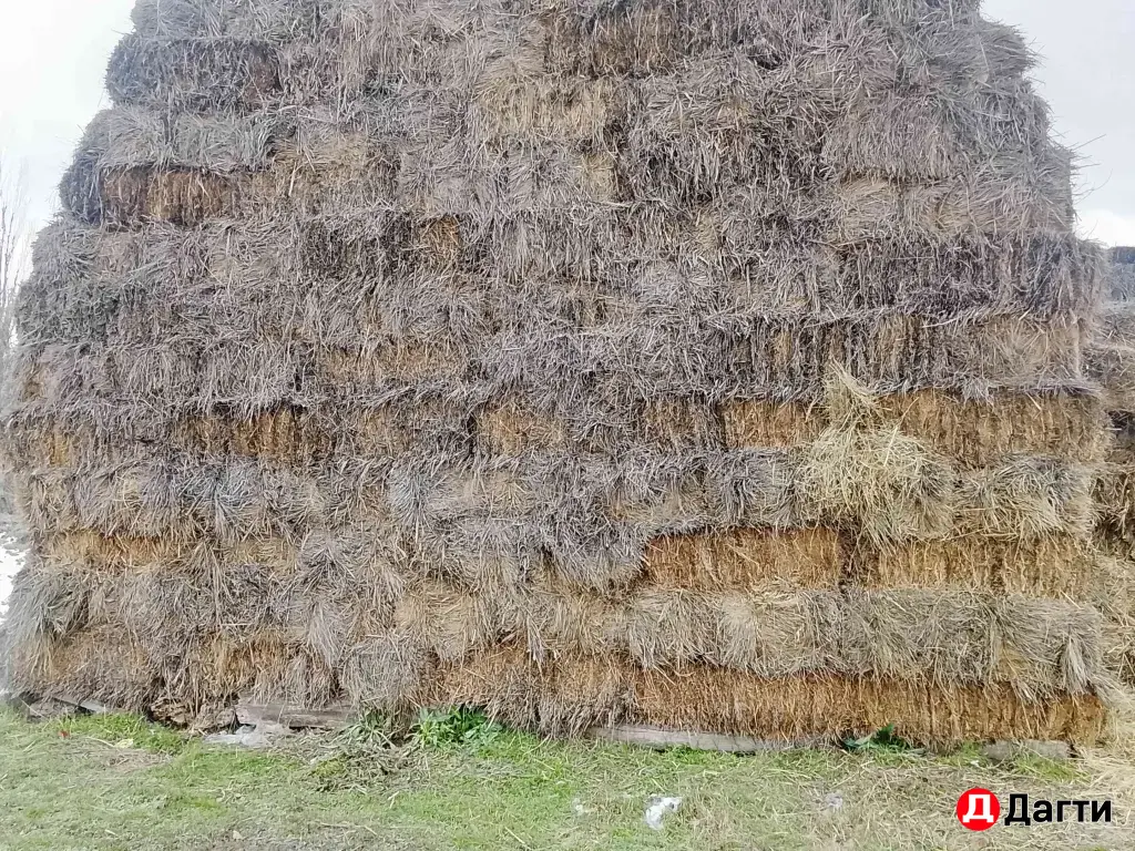 продается сена