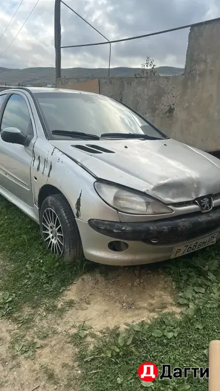 Peugeot 206, 2002 года