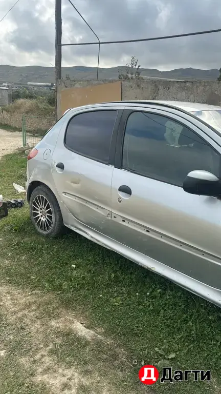 Peugeot 206, 2002 года