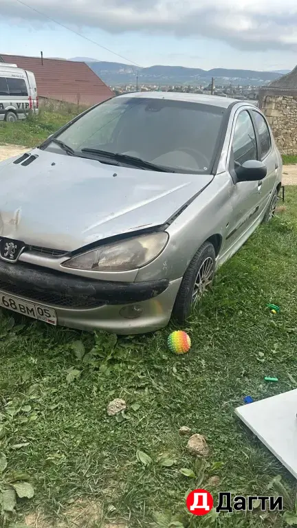 Peugeot 206, 2002 года