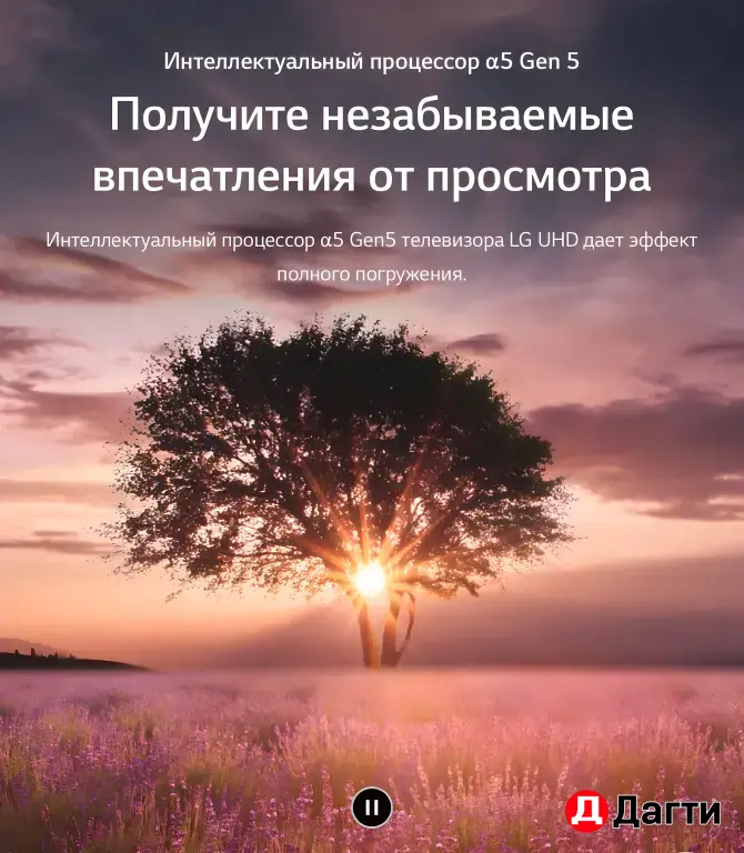 Телевизор LED LG 65UQ81009LB