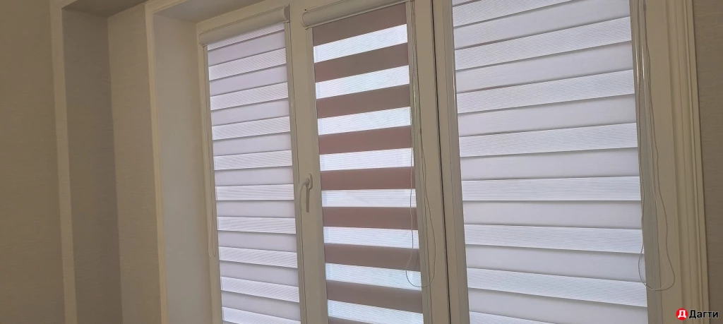 Рулонные шторы. день-ночь вставные сетки плиссе