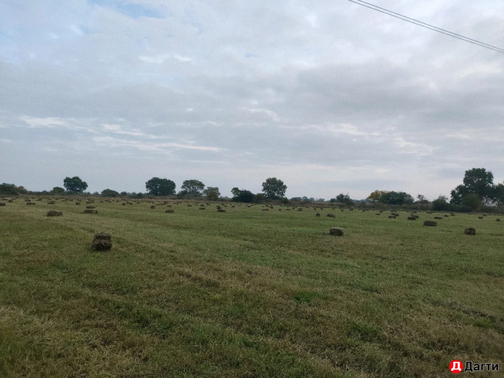 Сено естественное разнотравье 2й поздний кос. люцерна и тд.