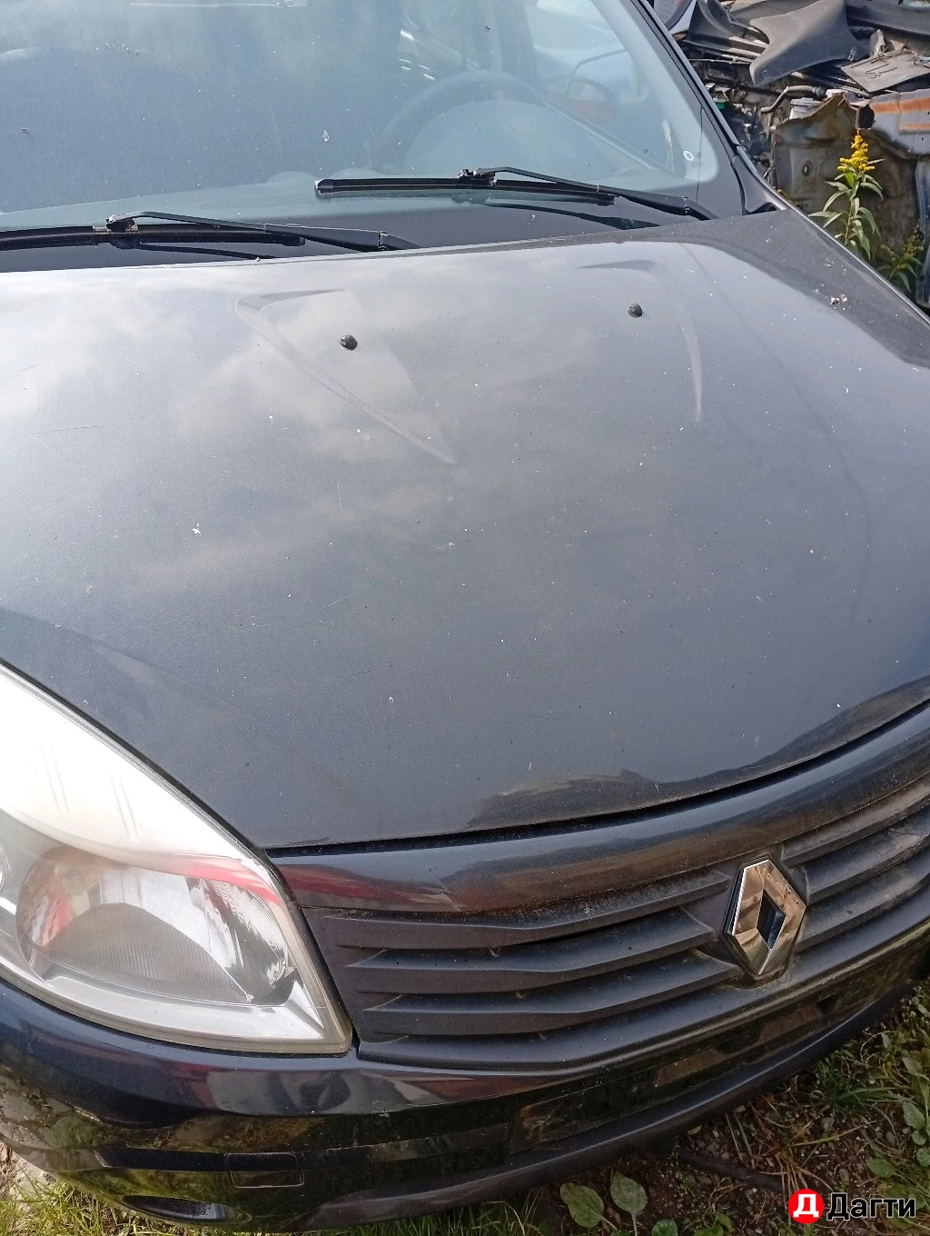 Рено Сандера 1