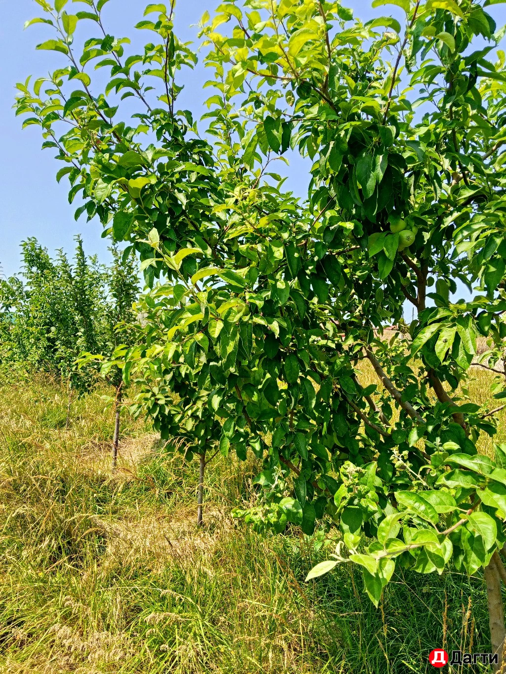 Участок, 7.2 сот, Поселения (ИЖС)