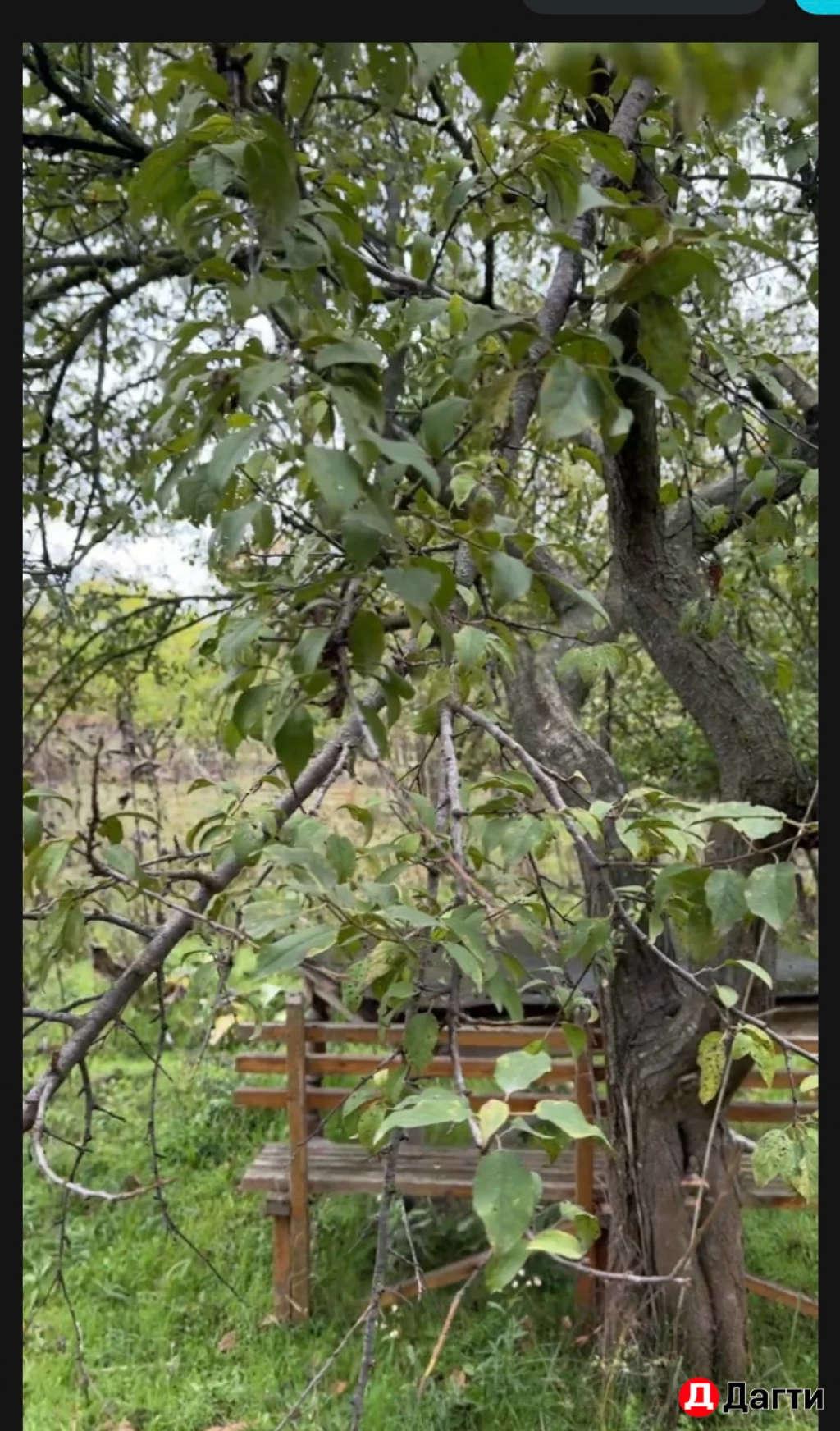 Участок, 16 сот, Поселения (ИЖС)