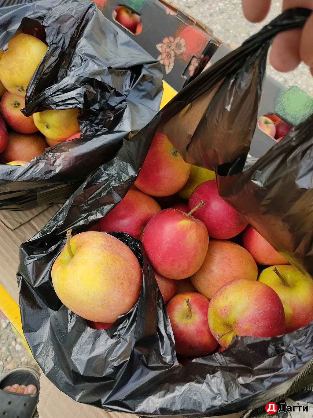 Яблоки сочные