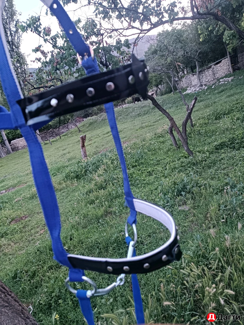 УЗДЕЧКИ КОЖАНЫЕ