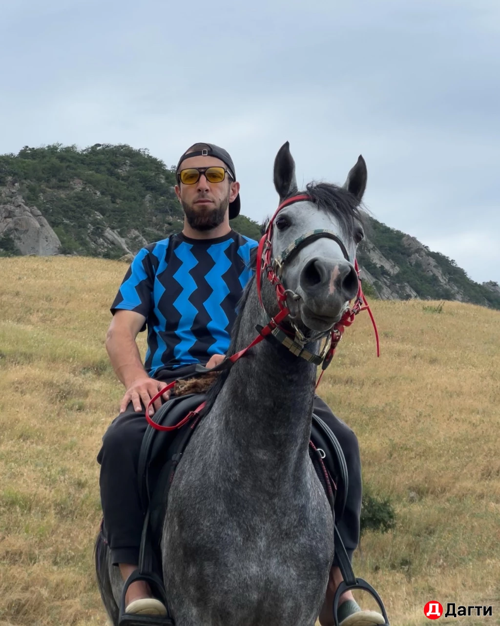 Лощадь араб