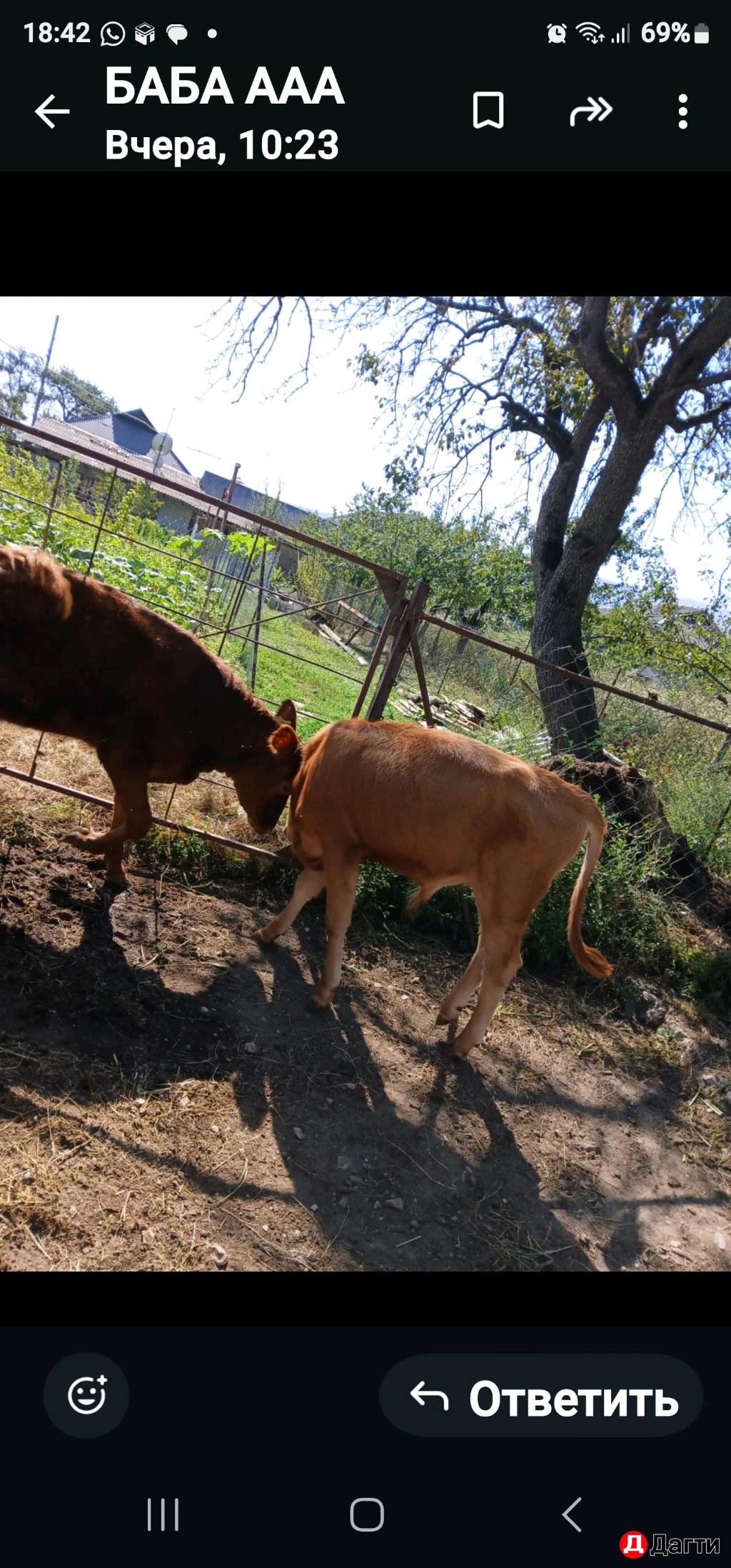 Корова с телёнком, корова дойная, бычок, тёлка.