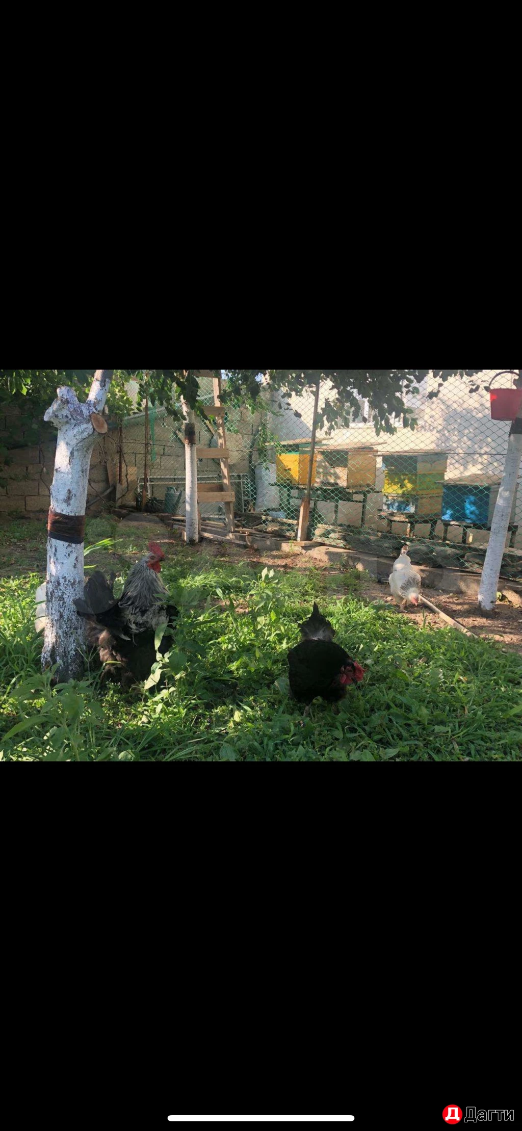 Дом, Поселения (ИЖС), 6 сот