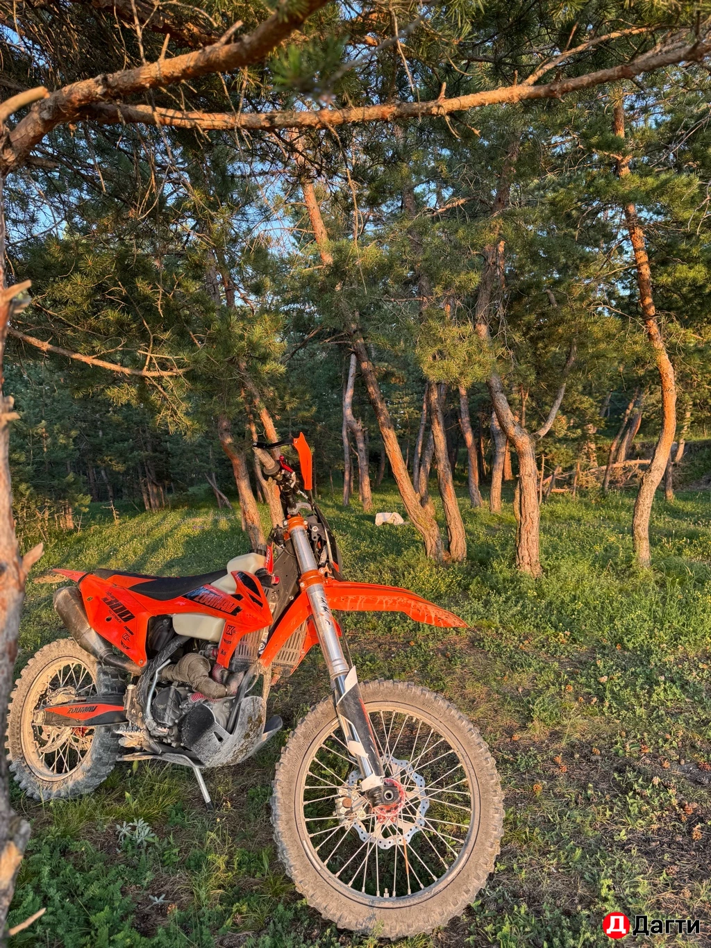 Эндуро zummav k8 nb300