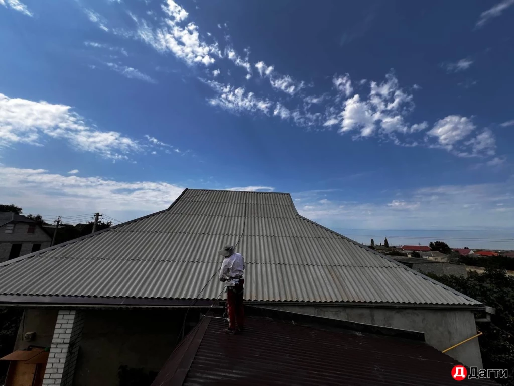 Покраска и чистка крыш