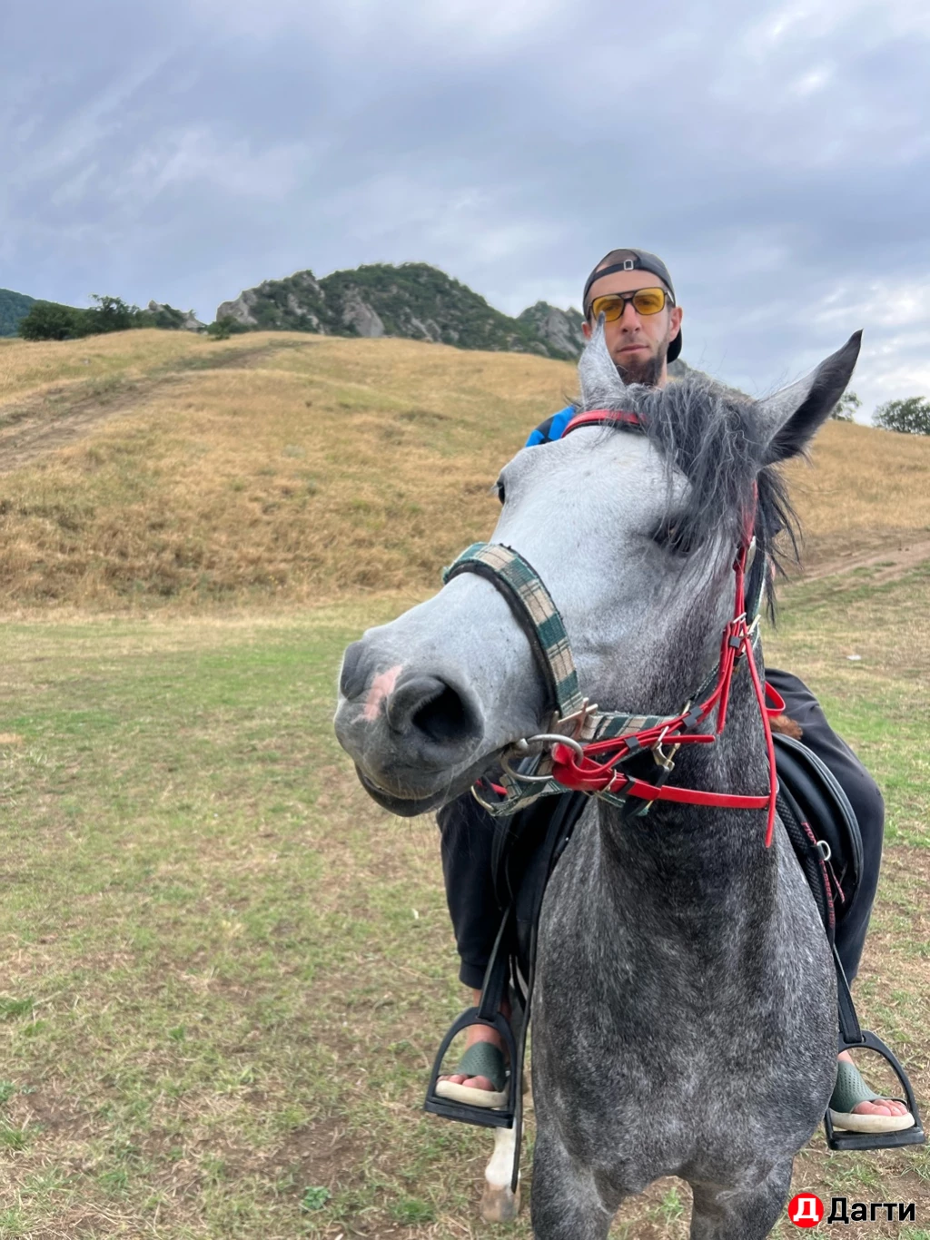 Лощадь араб