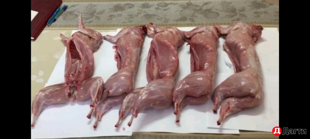 Крольчатина