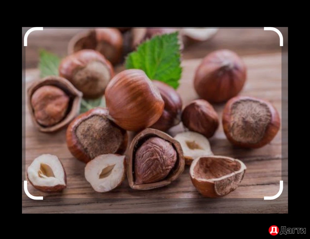 Фундук свежий