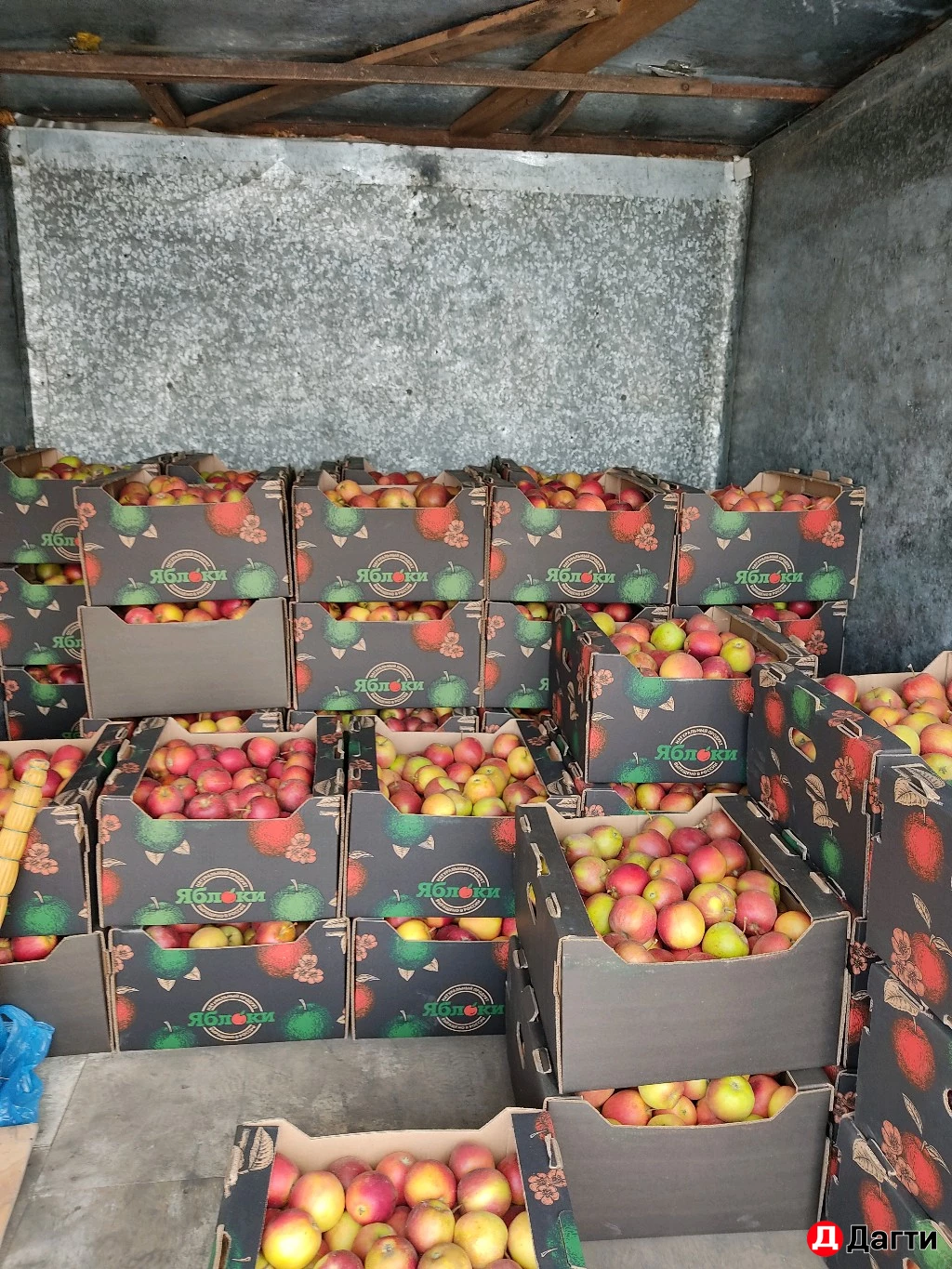 Яблоки сочные