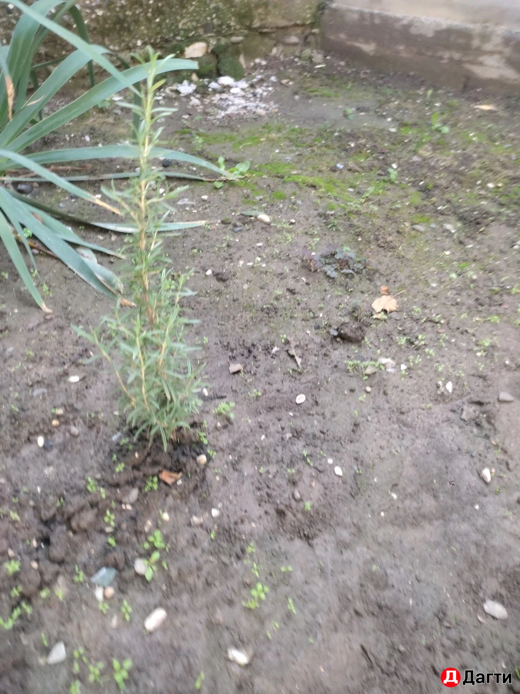 Участок, 4 сот, Поселения (ИЖС)