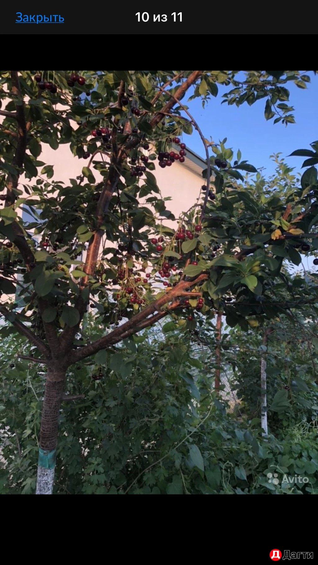 Дом, Поселения (ИЖС), 6 сот