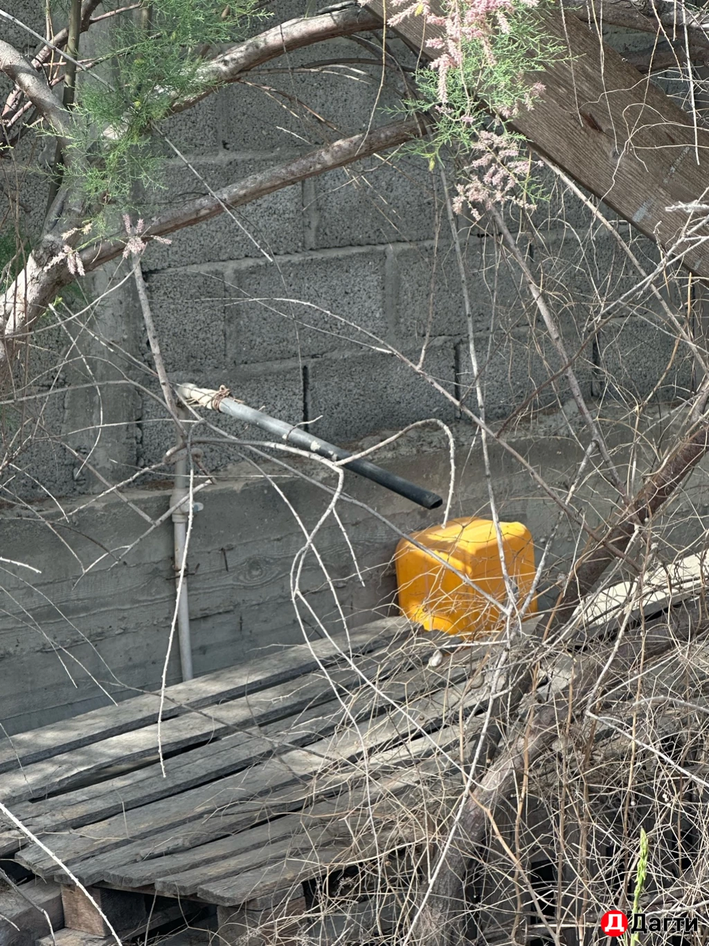 Участок, 6 сот, Сельхоз (СНТ или ДНП)