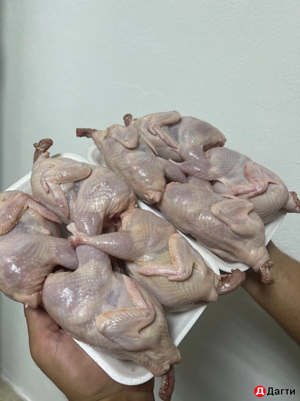 Мясо перепелки