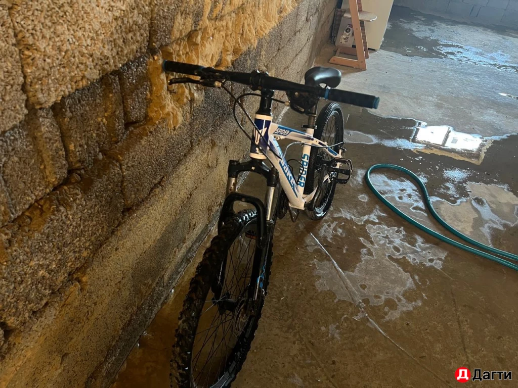 Велик скарастной