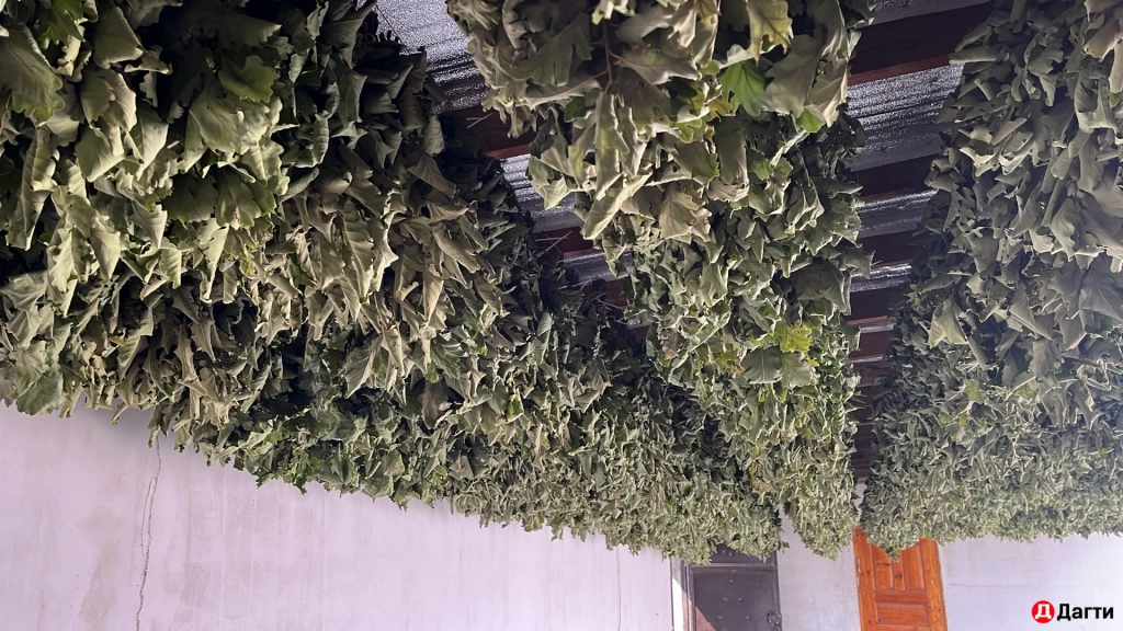 Веники дубовые