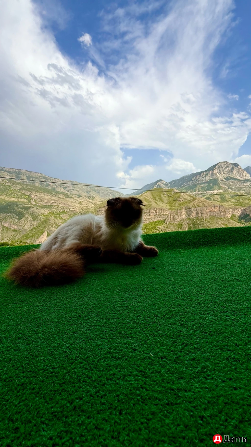 Комната, 25 м², Собственник