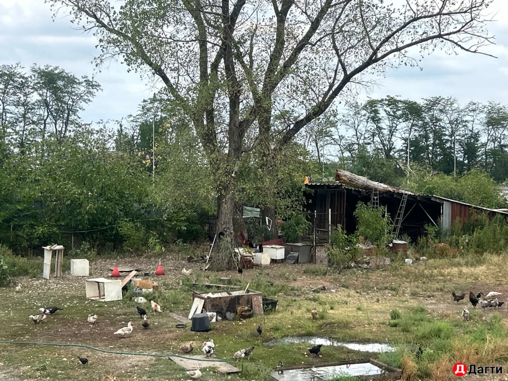 Участок, 200 сот, Фермерское хоз-во