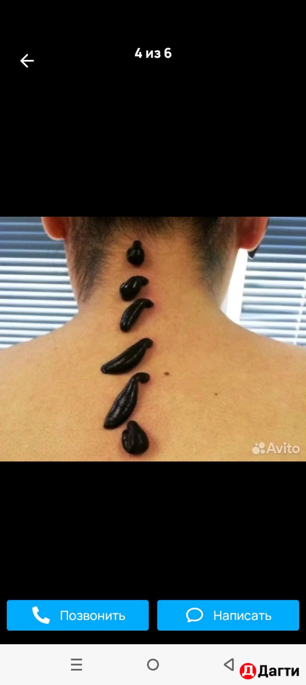 Пиявка медицинская.  50₽