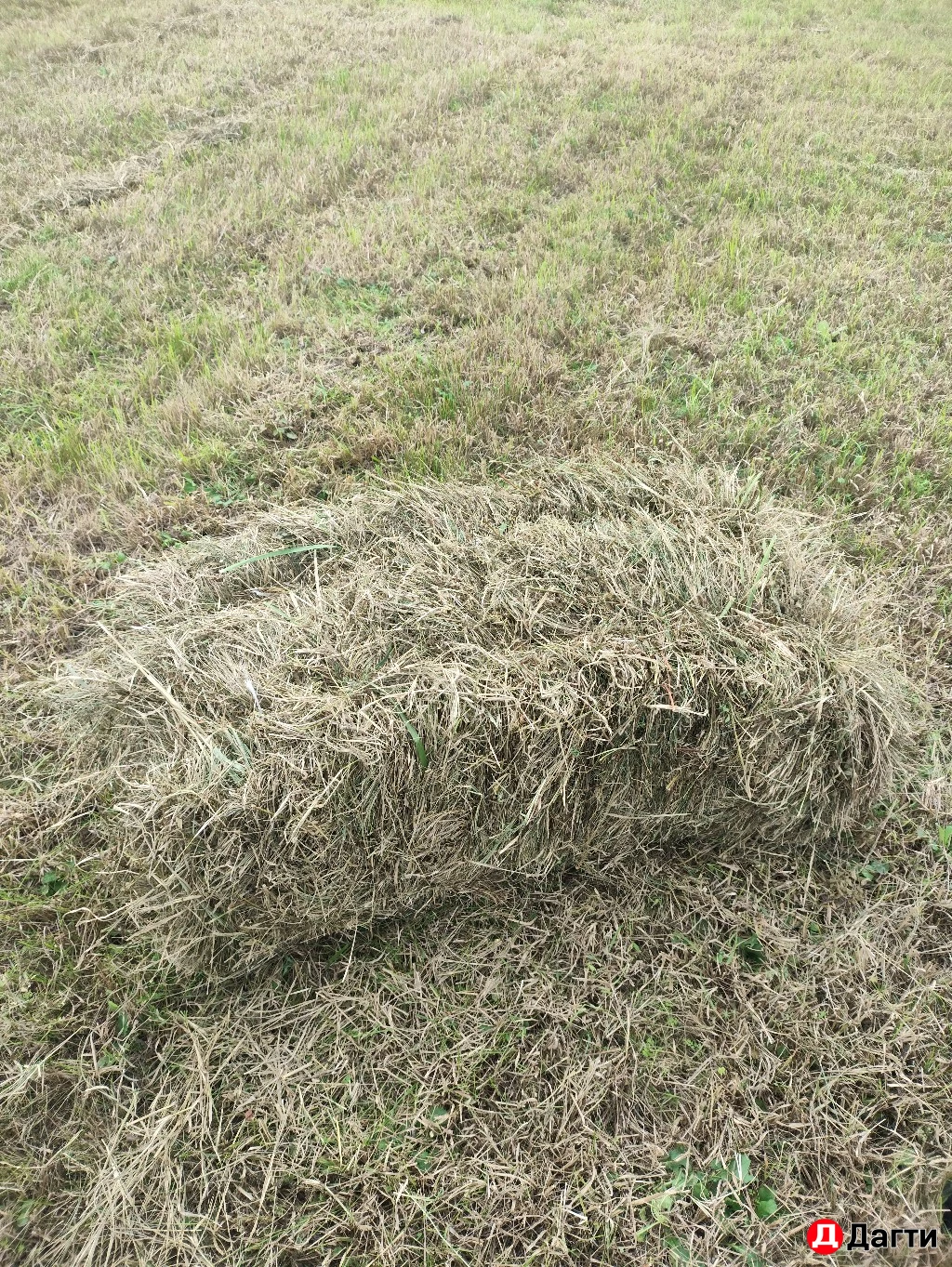 Сено естественное разнотравье 2й поздний кос. люцерна и тд.