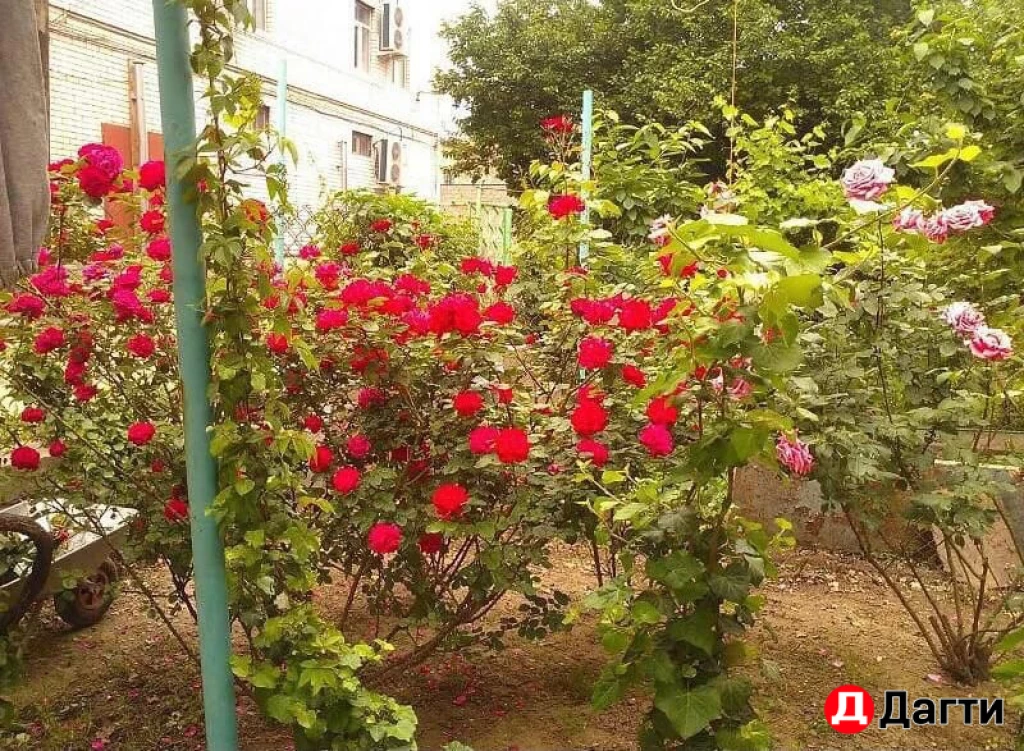 Квартира, Свободная планировка, 35 м²