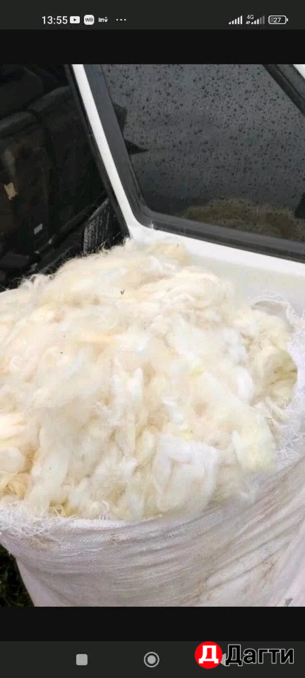 Шерсть овечья