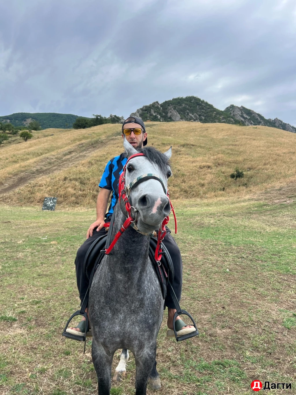 Лощадь араб