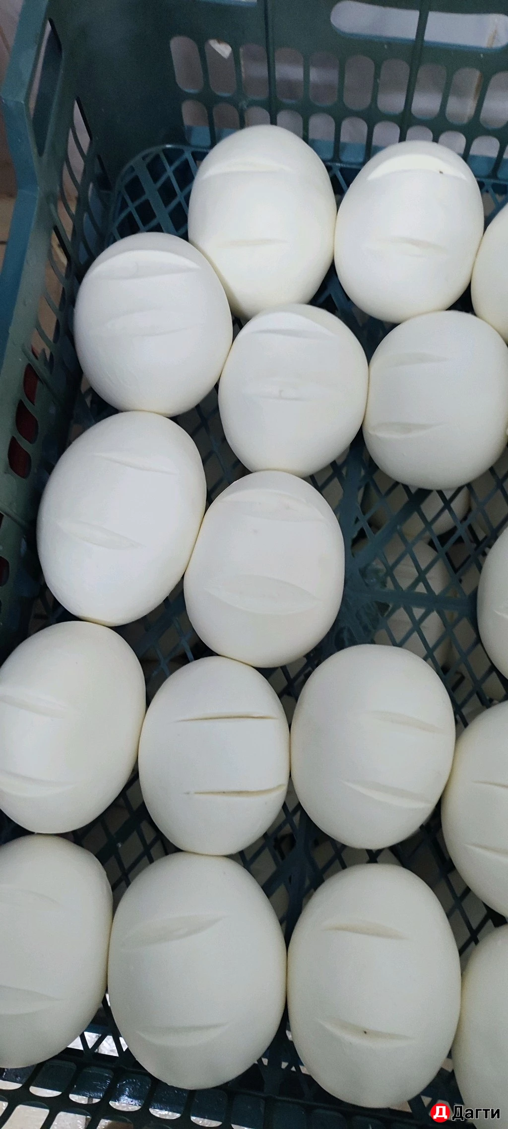 Производство и продажа сыров