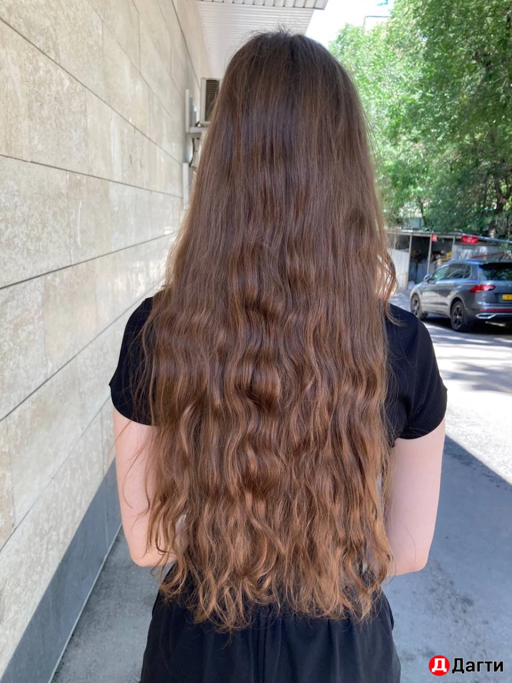 Курс по  колористике с нуля