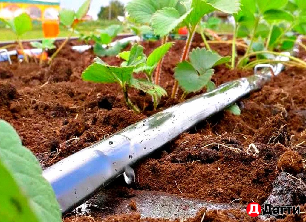 Трубки и ленты для капельного полива