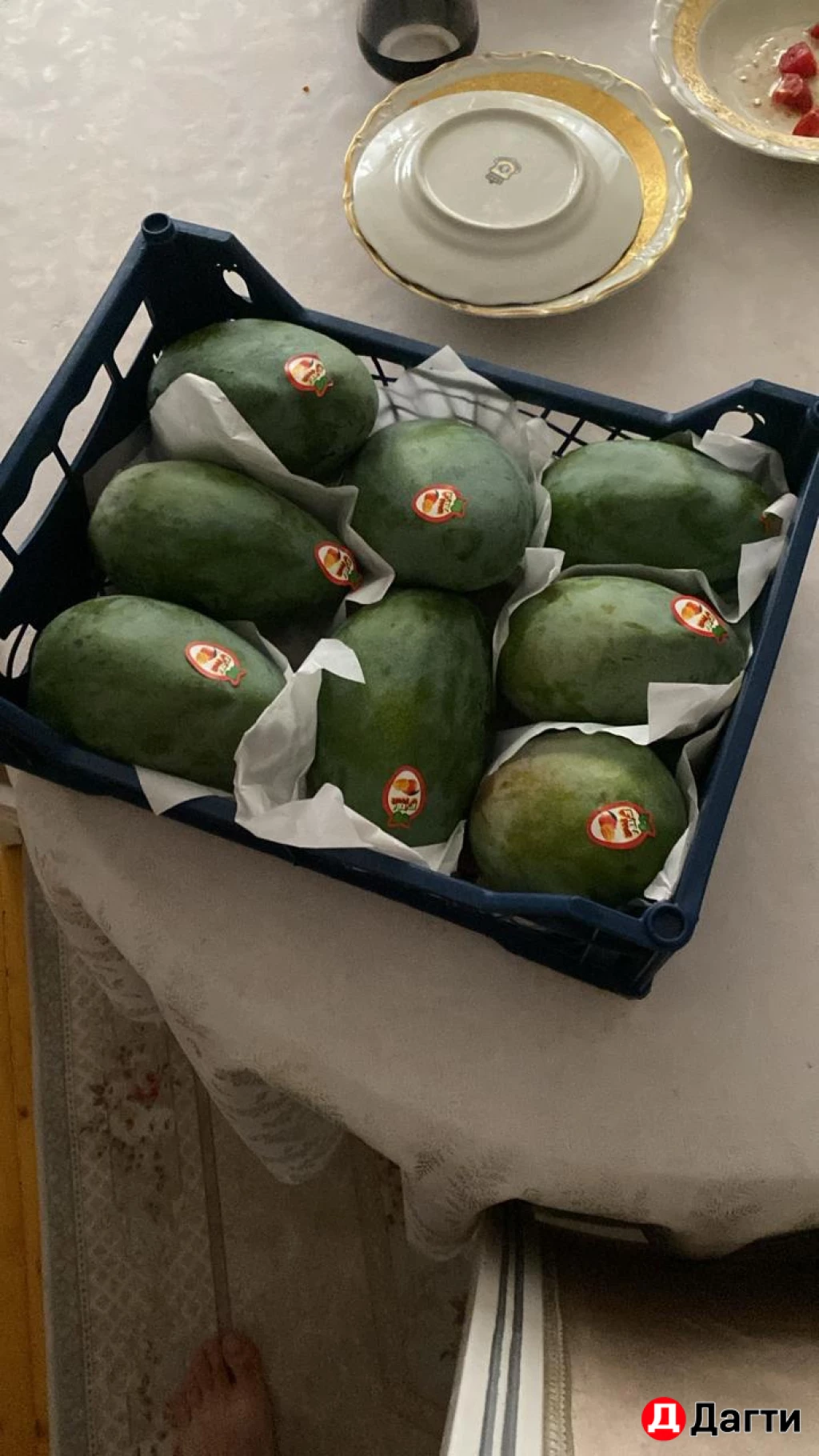 Манго дерево Египет