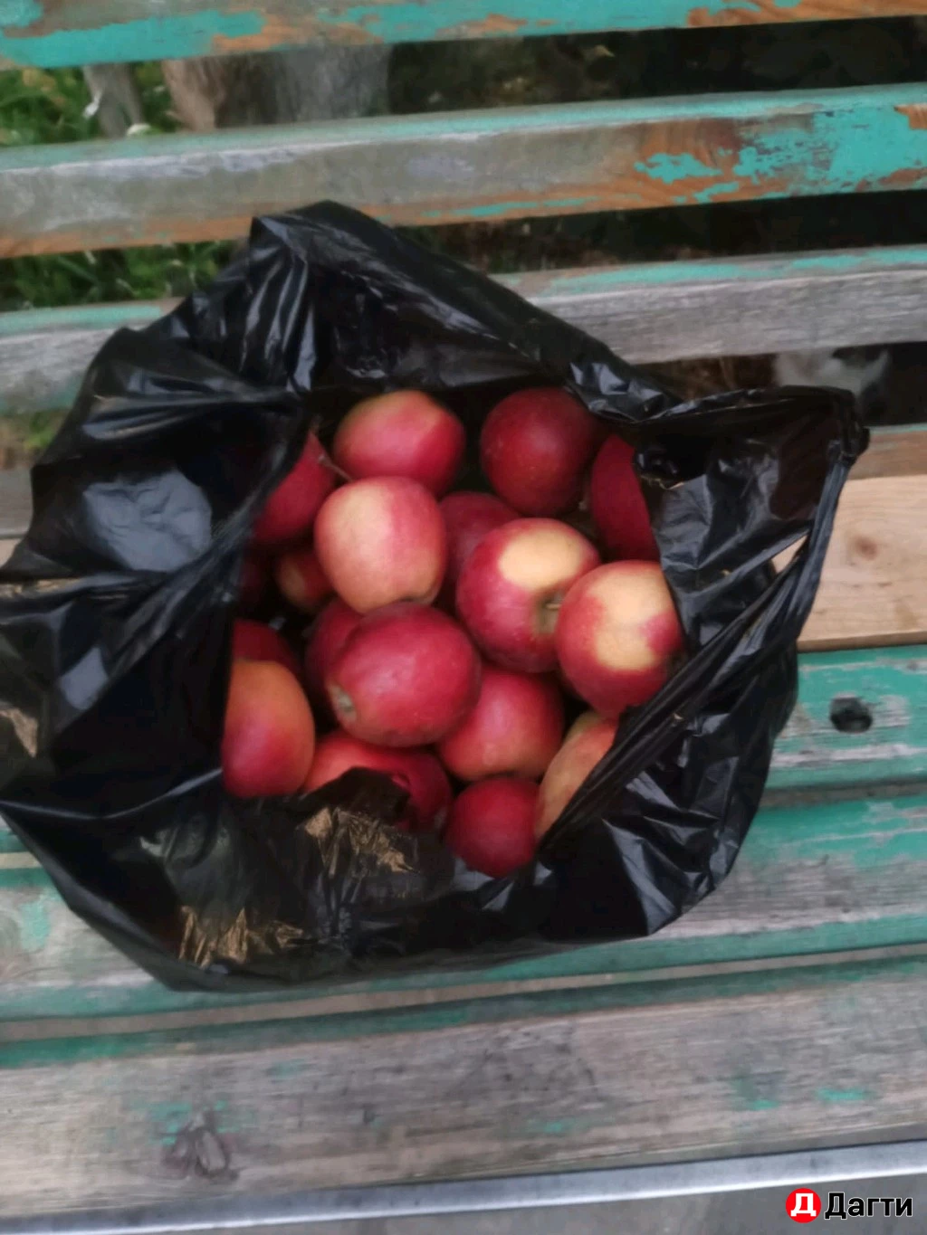 Яблоки сочные