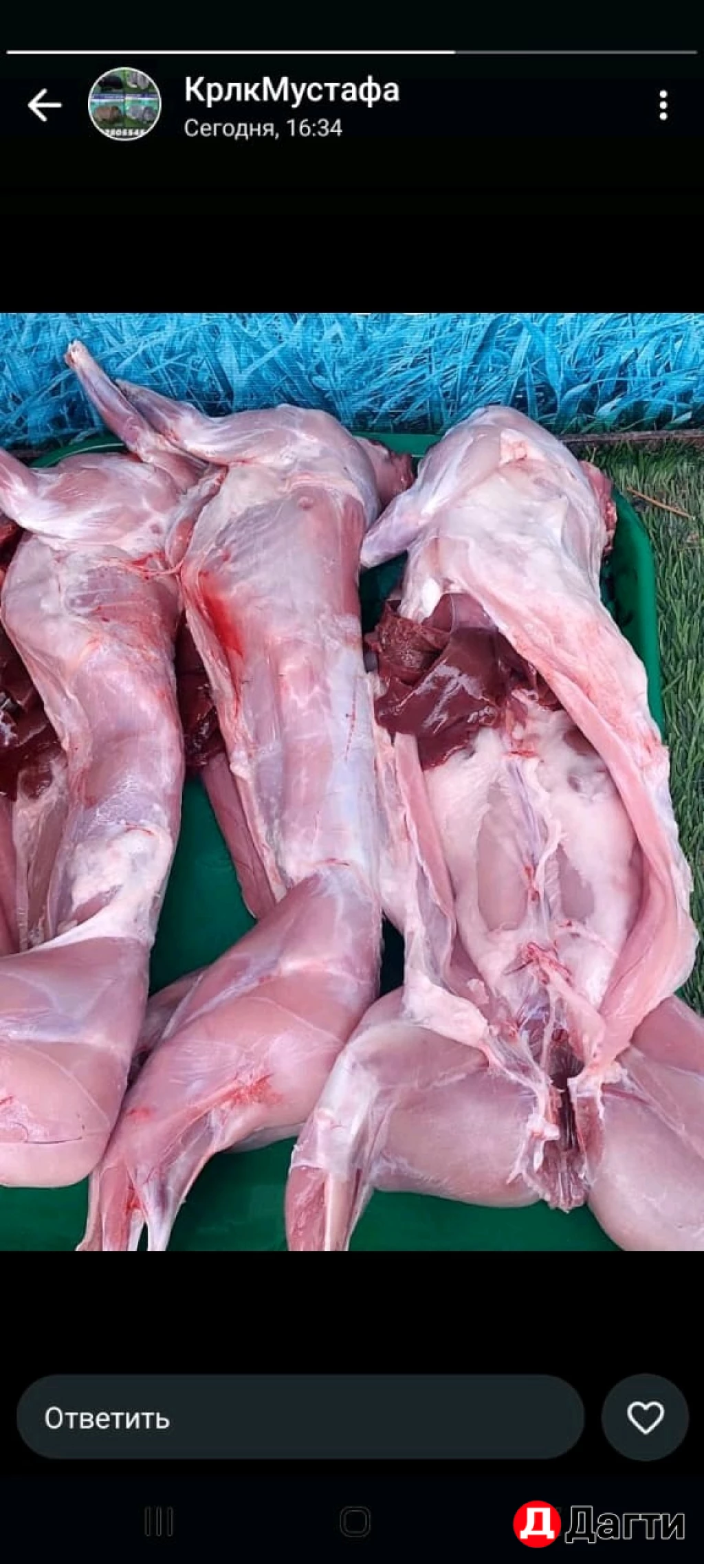 Крольчатина