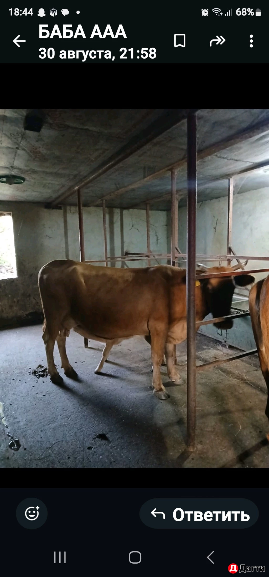 Корова с телёнком, корова дойная, бычок, тёлка.