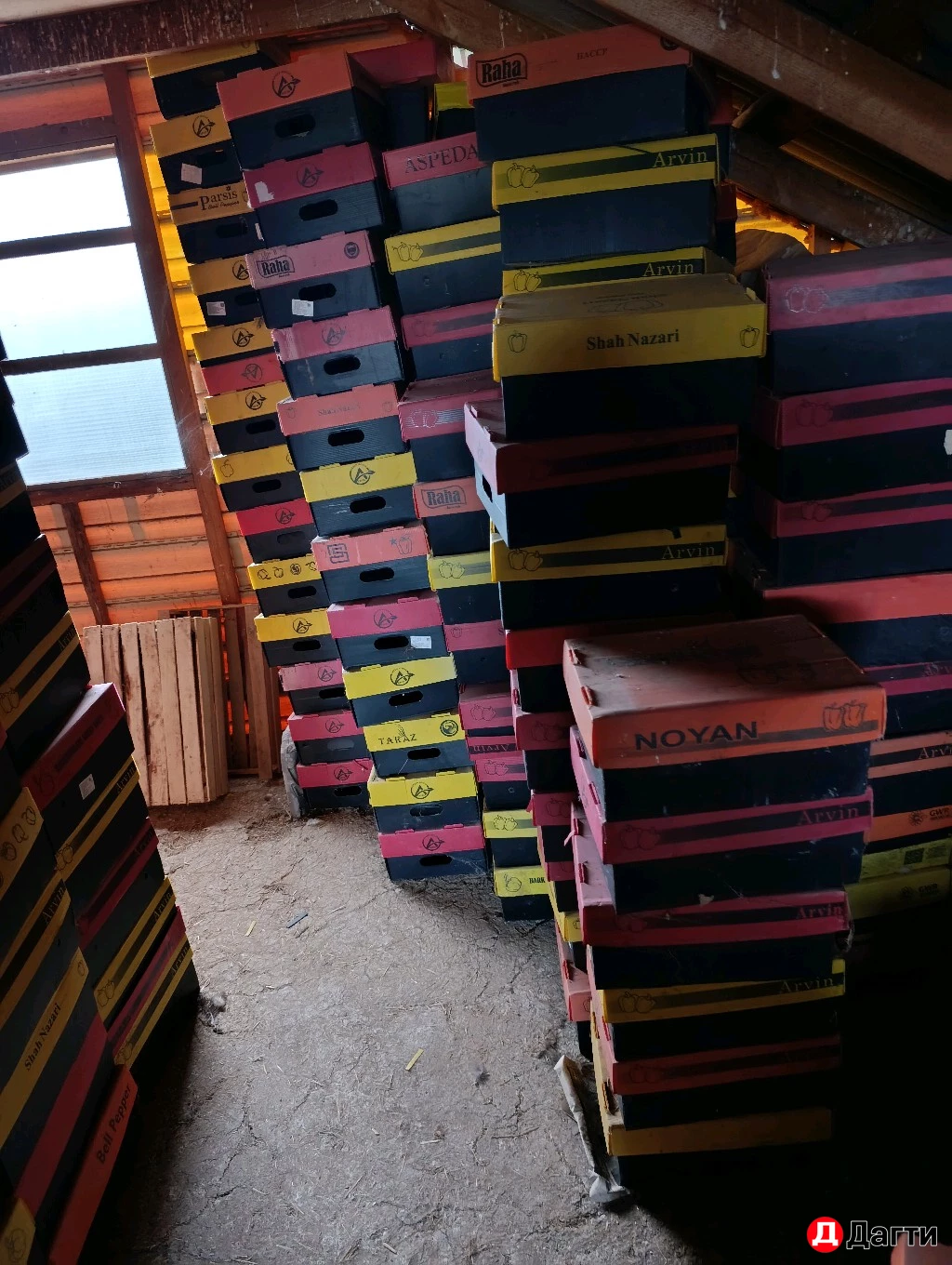 Ящики для фруктов и овощей