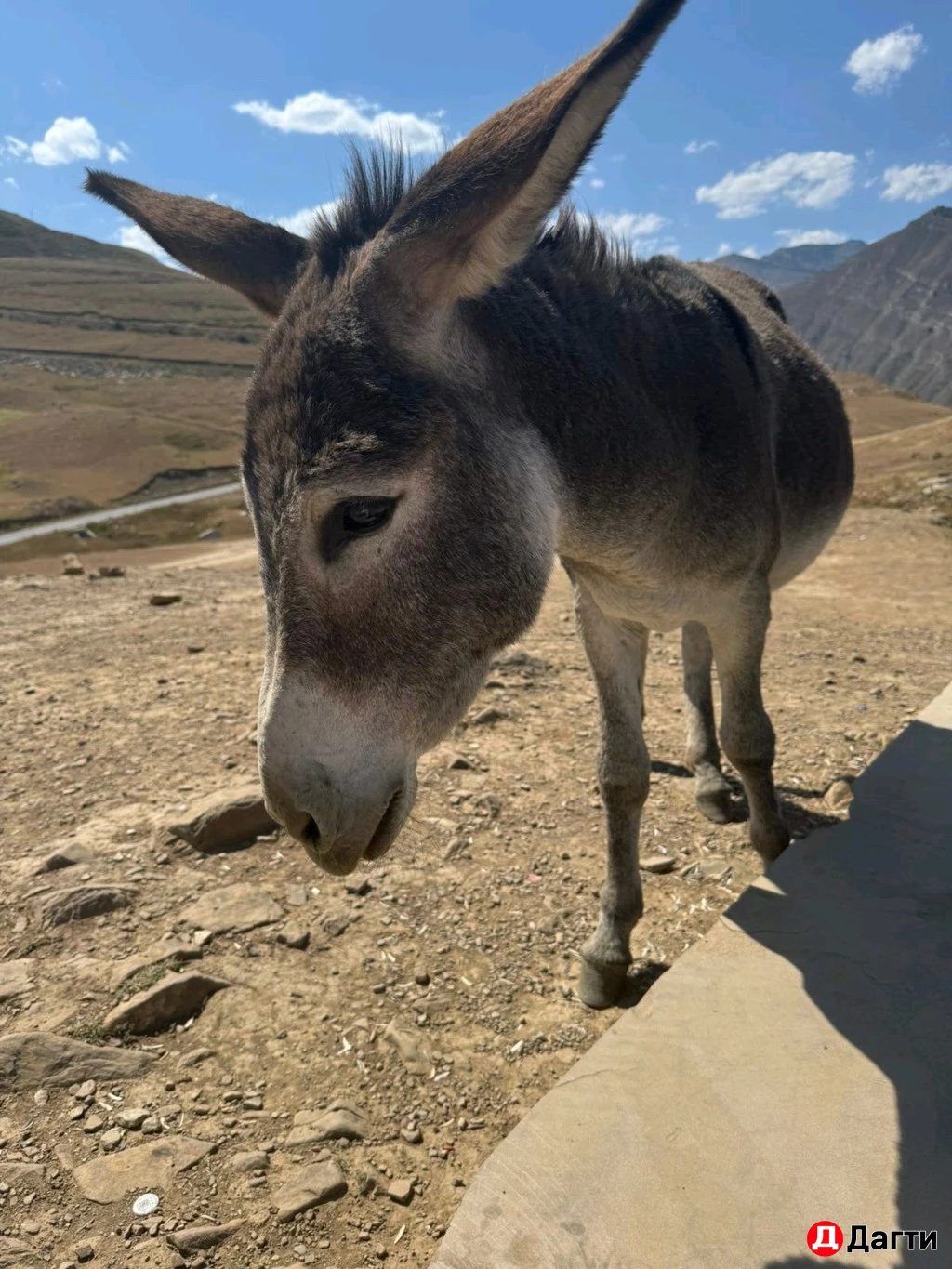 Заказ минивэна 24/7