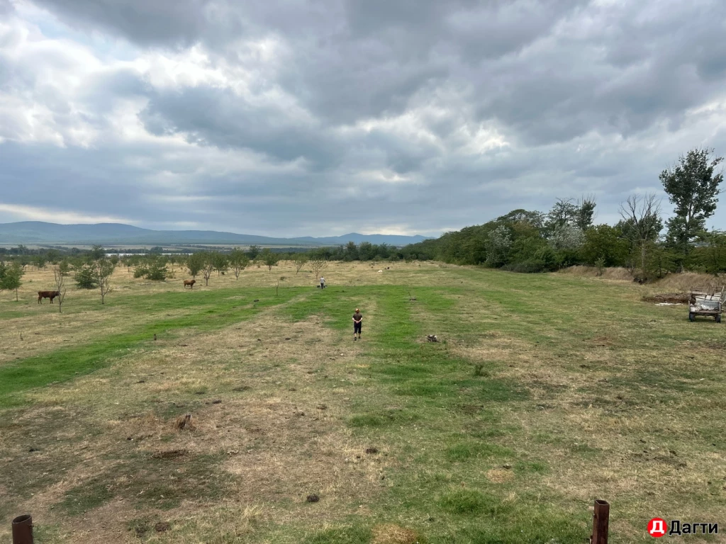 Участок, 200 сот, Фермерское хоз-во