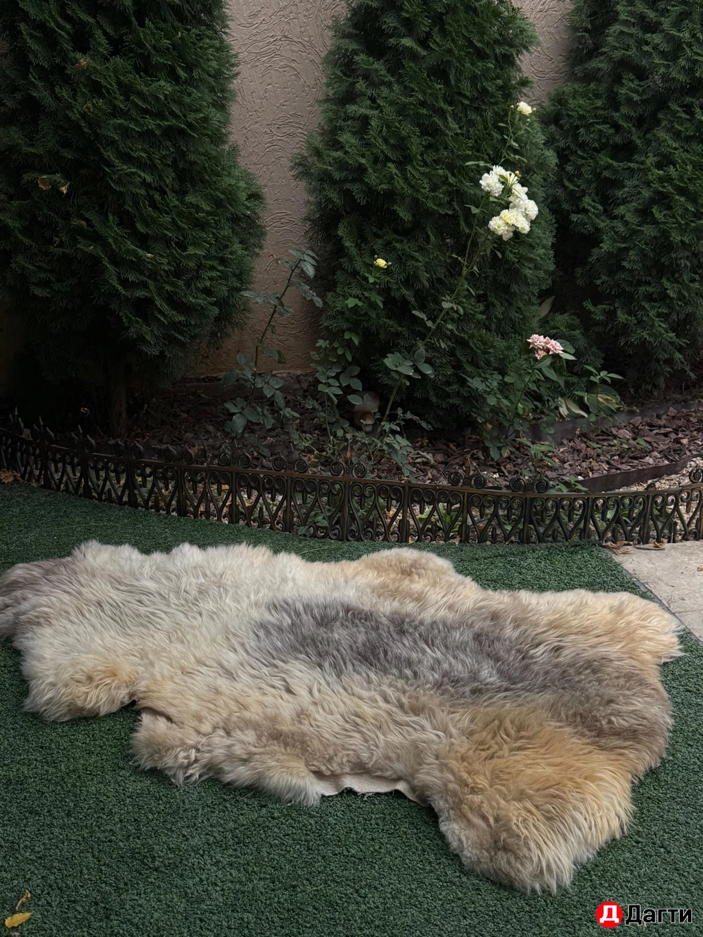 Овечья шкурка