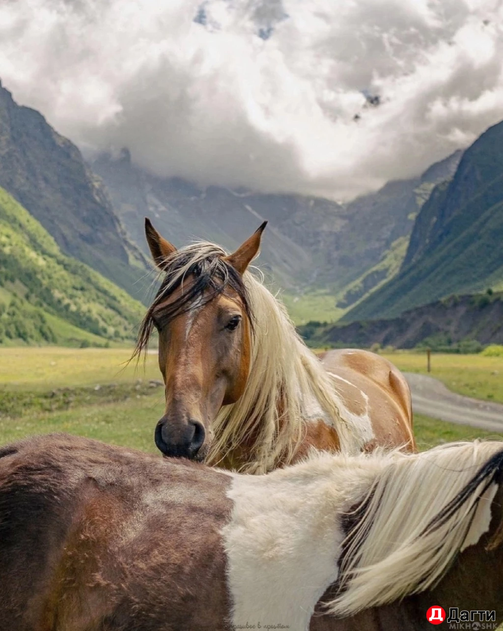 Участок, 7 сот, Поселения (ИЖС)