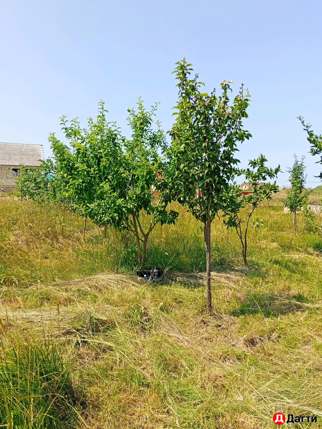 Участок, 7.2 сот, Поселения (ИЖС)